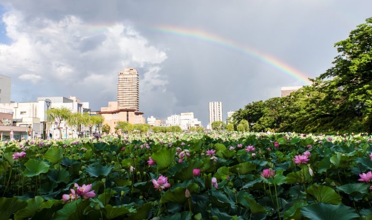 一期生日誌【九月】夏も終わり、期待と不安の後期も間近