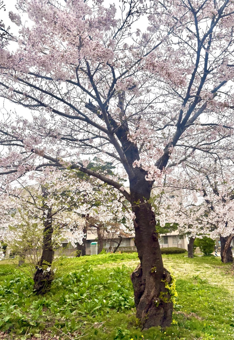 一期生日誌【五月➁】学生リレー執筆 第十六回「不安からワクワクへ、2年生のスタート」